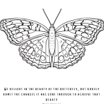 Butterfly colouring page